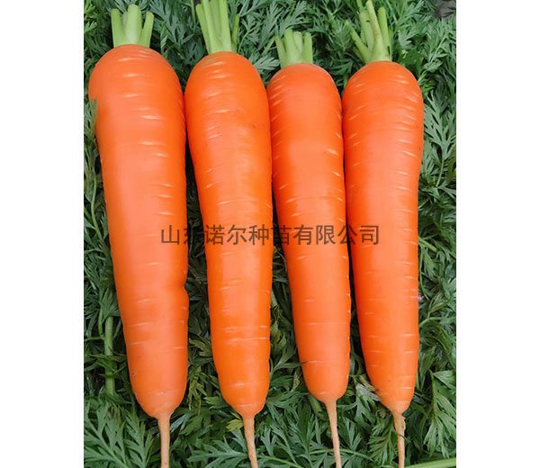 64dbf30f756e128e.jpg_20190304114059_600x520.jpg