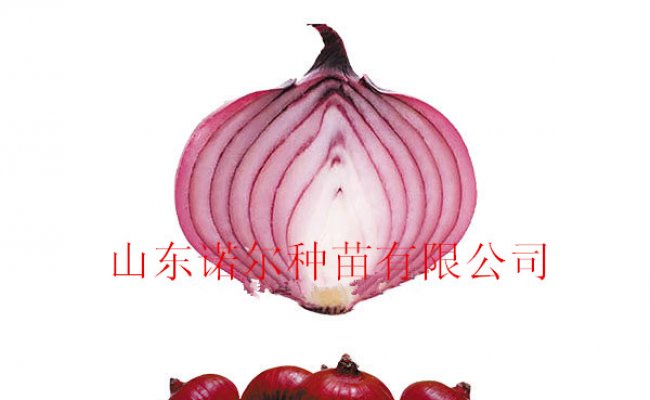 怎么种植无土栽培有机蔬菜？栽培需要注意什么？