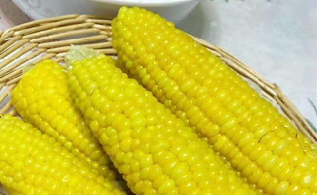 甜玉米丰产种植有技巧