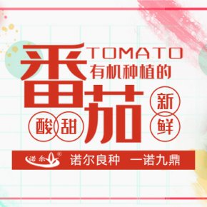 【2021中国（寿光）国际蔬菜种业博览会】火热进行中！