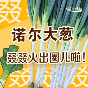 【诺尔大葱】叕叕叕叕火出圈儿！！