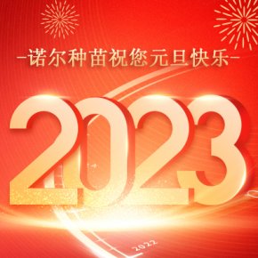 新年，你好丨告别2022，启程2023