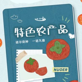 【舌尖上的诺尔】特色农产品美食日记