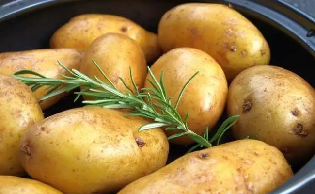 土豆收获后如何保存不腐烂变质？