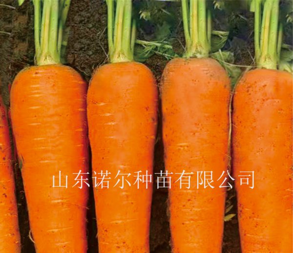 国色