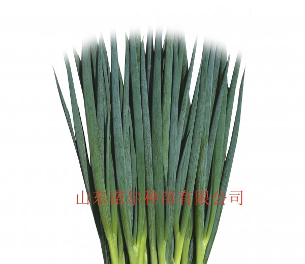 千墨