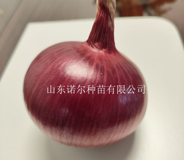 绛紫