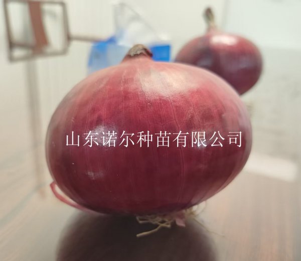 烈炎