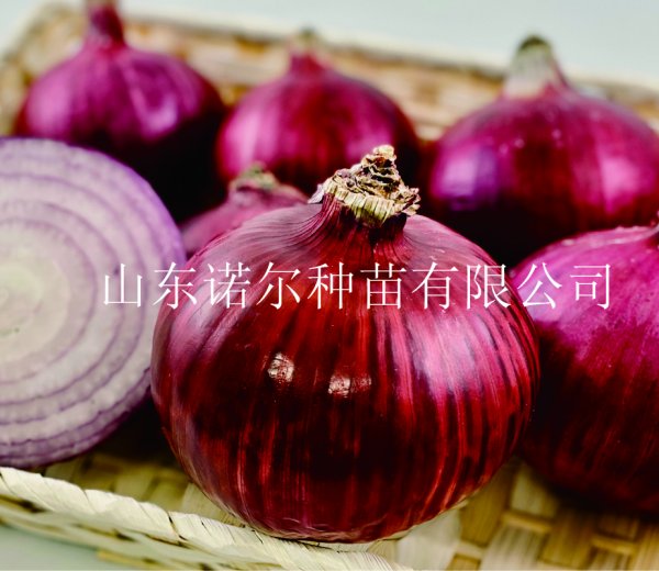 红月